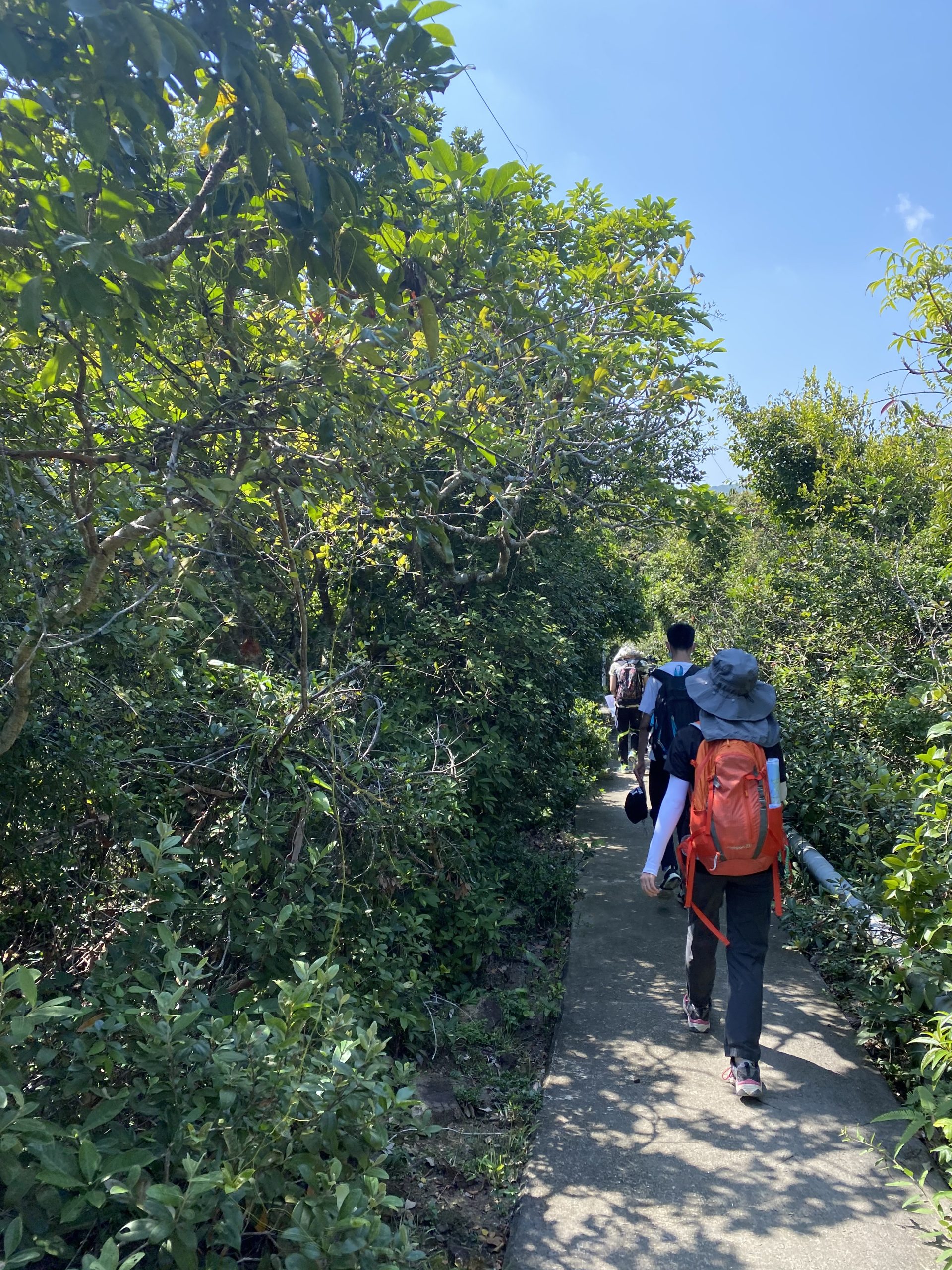 限聚下的野外鍛鍊 (31/3/2021)